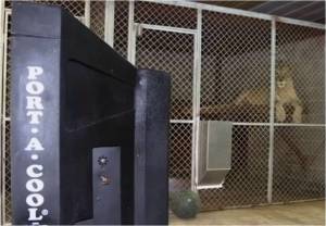 Evaporative air conditioning for animals