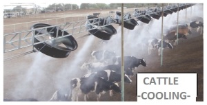 Cattle Cooling System